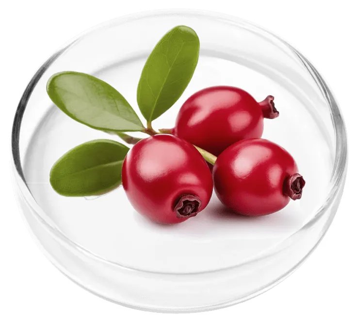 Tart Cherry