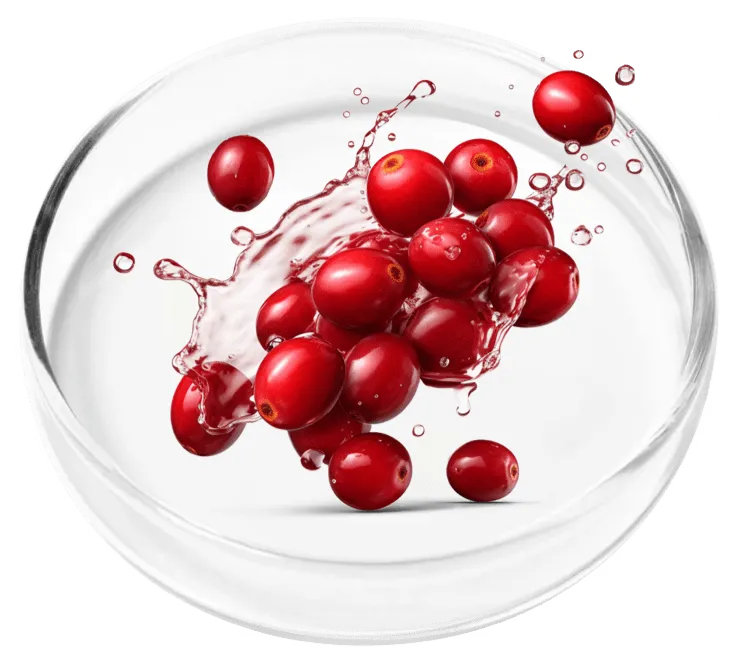 Cranberry Extract