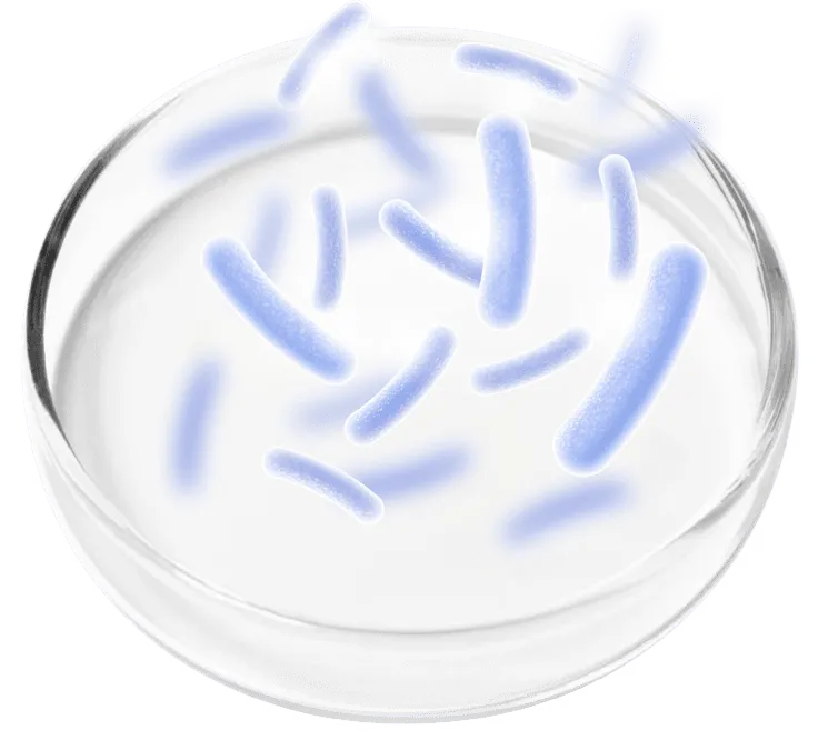 Probiotics